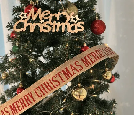 CHRISTMAS 2024 image
